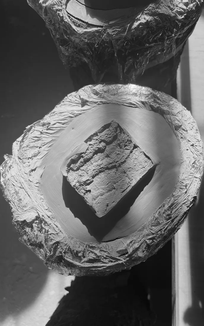 Arbolera — proceso 5