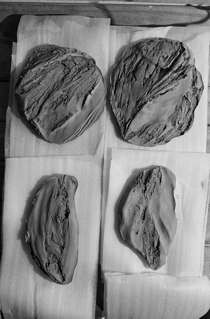 Arbolera — proceso 13