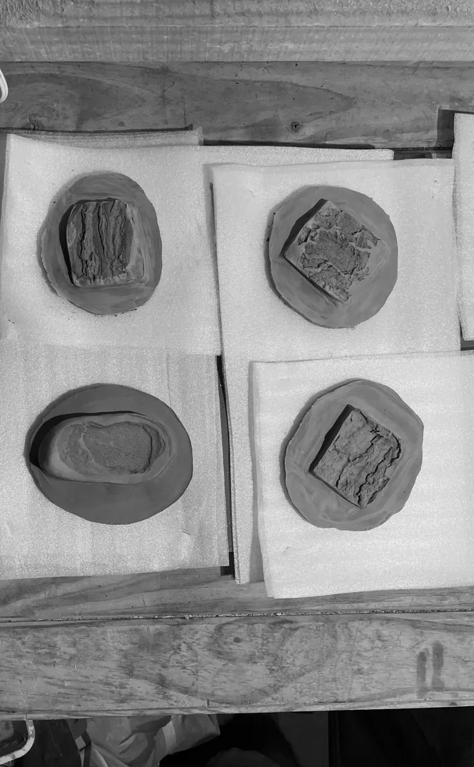 Arbolera — proceso 15